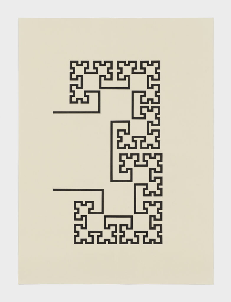 Claire Zarouhee Nereim, Cabbage flower variation, 2020, ink drawing on watercolor paper, 30 in x 22 in