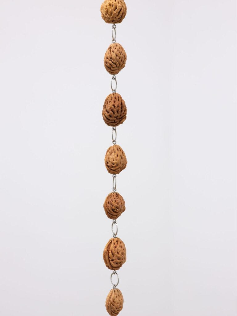 Claire Zarouhee Nereim, Heartbeats, 2025, peach pits, stainless steel, dimensions variable